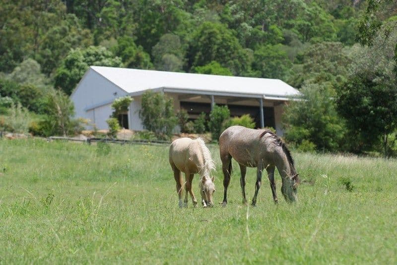 SAMFORD QLD 4520, Samford Valley - Thumbnail 5