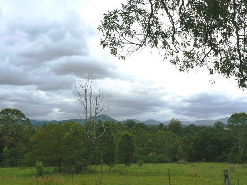 WINGHAM NSW 2429, Wingham - Thumbnail 8