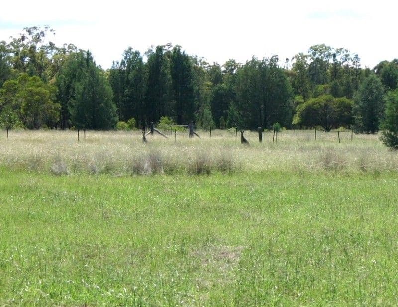 Lot 821  Kaputar Road, NARRABRI NSW 2390, Narrabri - Thumbnail 4