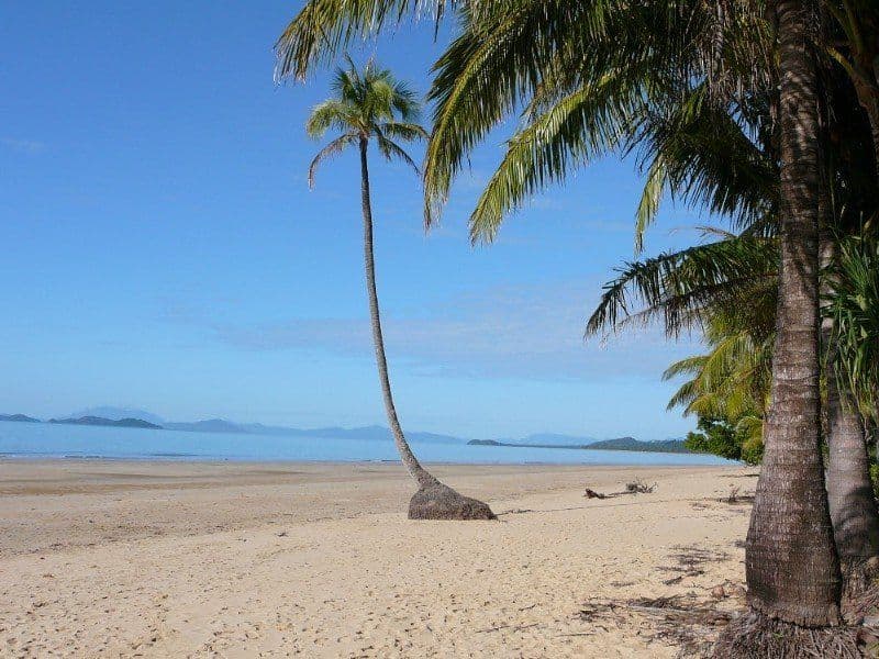 Mission Beach QLD 4852, Mission Beach - Thumbnail 6