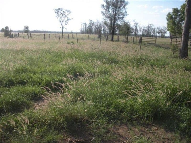 MILES QLD 4415, Miles - Thumbnail 5