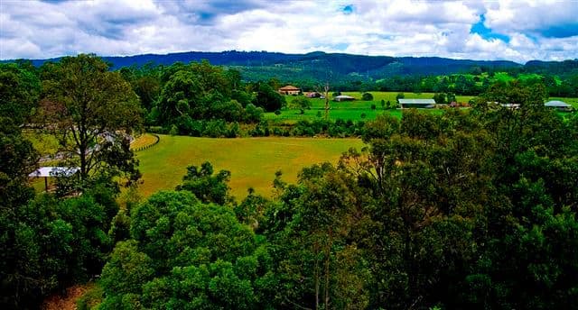18 Lagoon Park Road, MAUDSLAND QLD 4210, Maudsland - Thumbnail 4