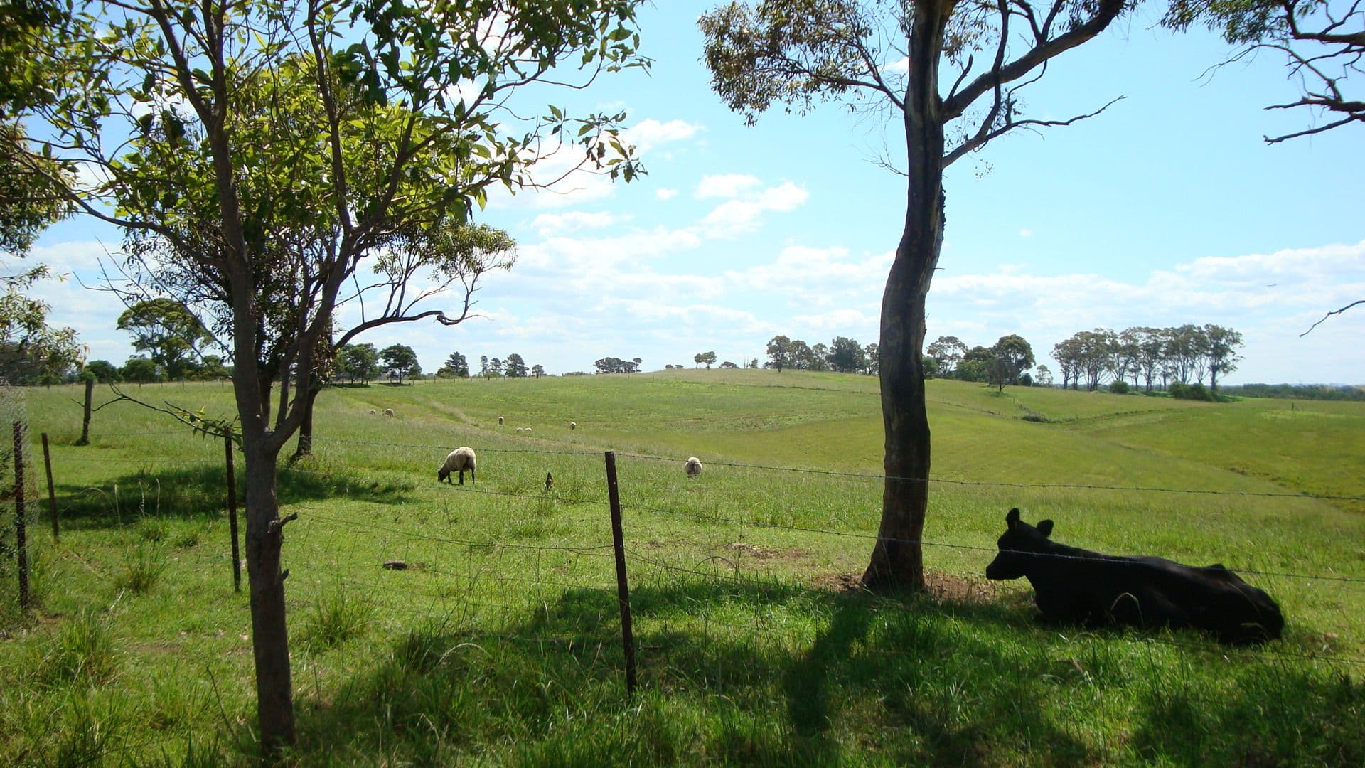 480 Parma Road, PARMA NSW 2540, Parma - Thumbnail 4