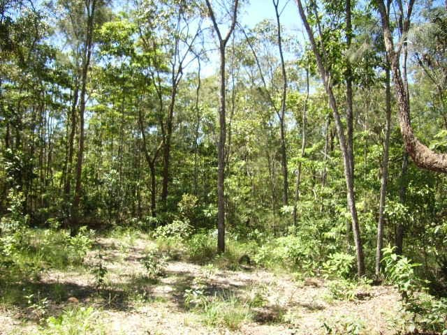 BEMERSIDE QLD 4850, Bemerside - Thumbnail 5