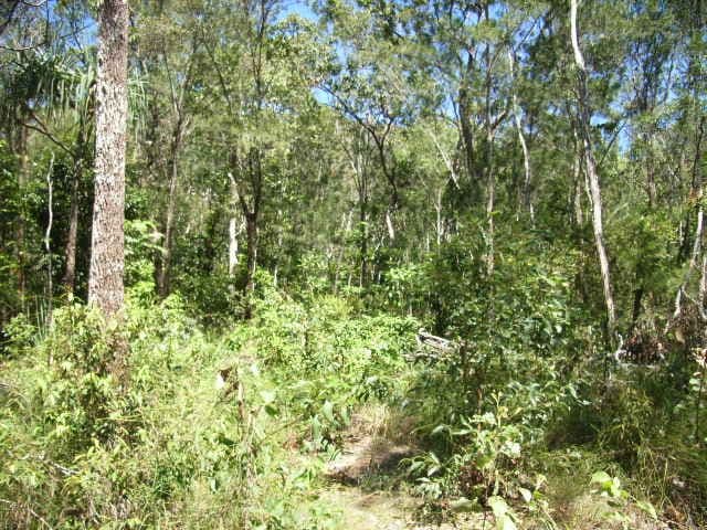 BEMERSIDE QLD 4850, Bemerside - Thumbnail 7