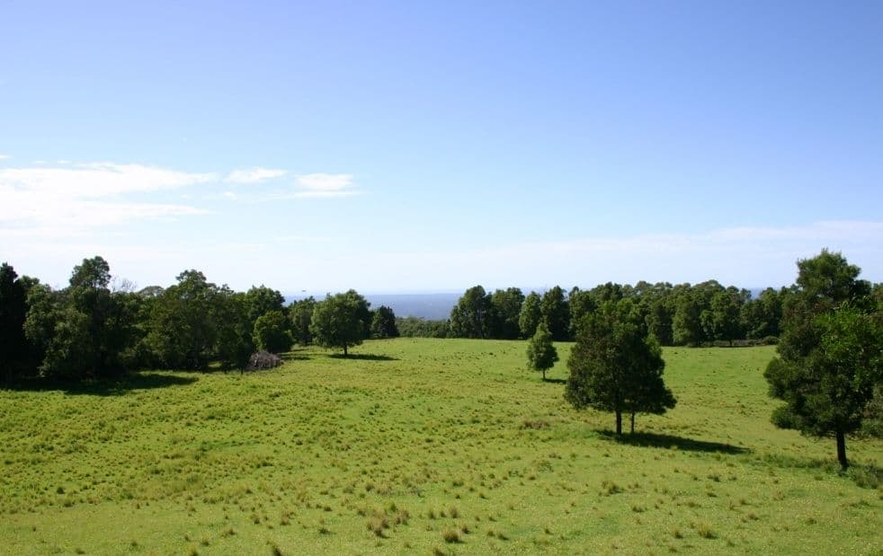 350 Browns Mountain Road, CAMBEWARRA NSW 2540, Cambewarra - Image 1