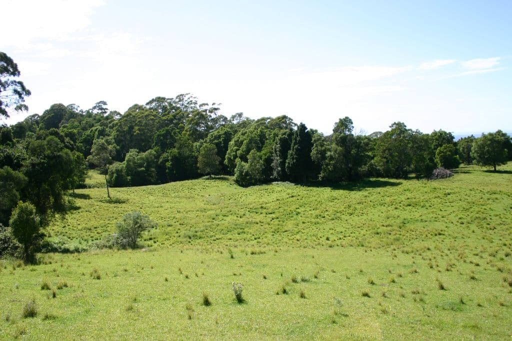350 Browns Mountain Road, CAMBEWARRA NSW 2540, Cambewarra - Thumbnail 2