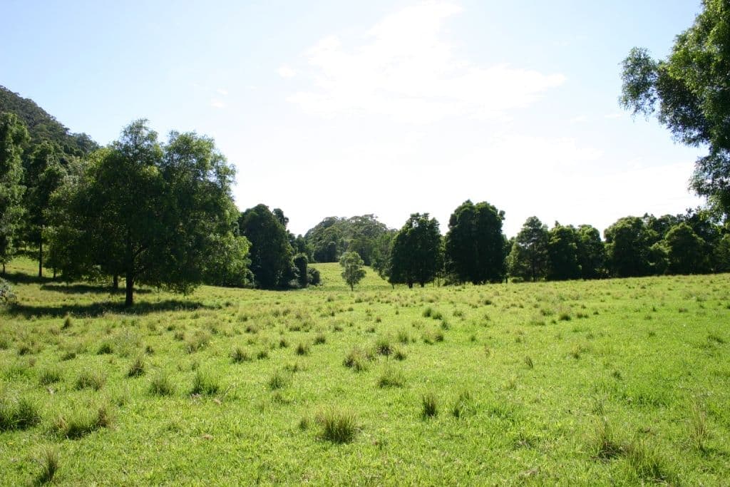 350 Browns Mountain Road, CAMBEWARRA NSW 2540, Cambewarra - Thumbnail 3