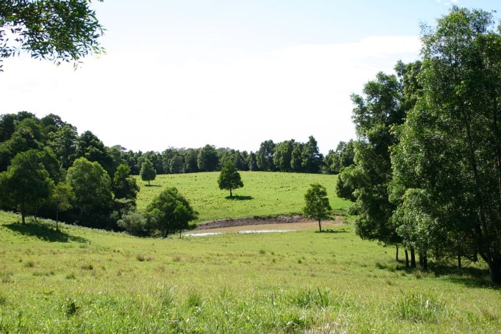 350 Browns Mountain Road, CAMBEWARRA NSW 2540, Cambewarra - Thumbnail 5