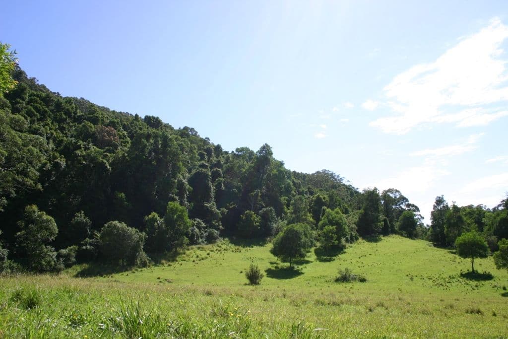 350 Browns Mountain Road, CAMBEWARRA NSW 2540, Cambewarra - Thumbnail 4