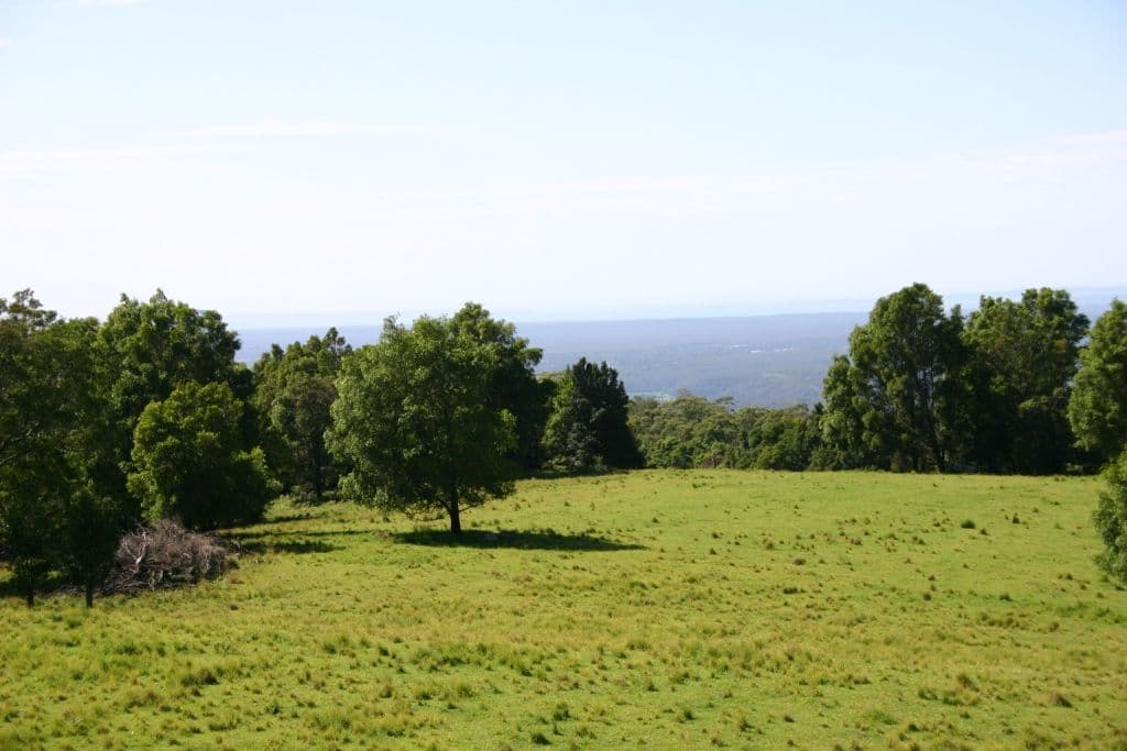 350 Browns Mountain Road, CAMBEWARRA NSW 2540, Cambewarra - Thumbnail 6