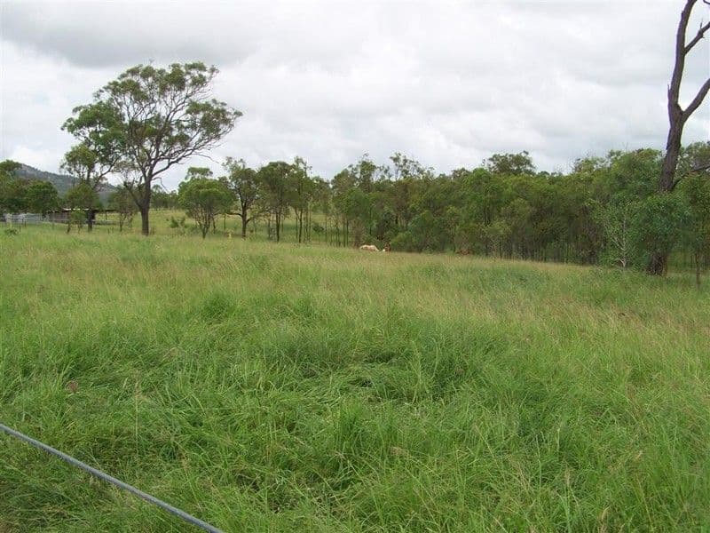 879 Lion Mountain Road, ALTON DOWNS QLD 4702, Alton Downs - Thumbnail 4