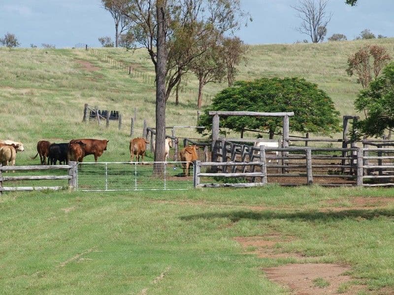 19870 Burnett Highway, MUNDUBBERA QLD 4626, Mundubbera - Thumbnail 8