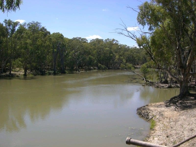 9 Prudence Close, Korumburra, VIC, 3950, Korumburra - Thumbnail 2