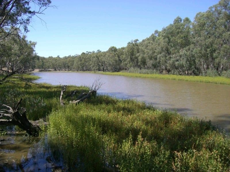 9 Prudence Close, Korumburra, VIC, 3950, Korumburra - Thumbnail 4