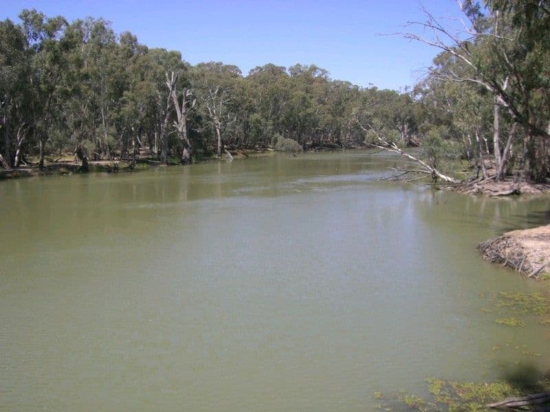 9 Prudence Close, Korumburra, VIC, 3950, Korumburra - Thumbnail 5