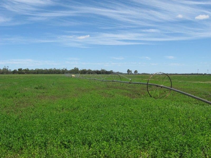 24 Jackson Street, Maidstone, VIC, 3012, Maidstone - Thumbnail 6