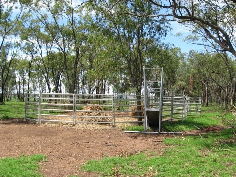 24 Jackson Street, Maidstone, VIC, 3012, Maidstone - Thumbnail 3