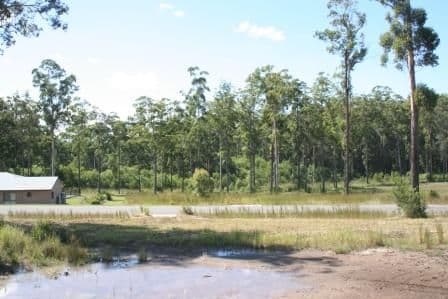 Lot 6 Kingaree Place, KING CREEK NSW 2446, King Creek - Thumbnail 3