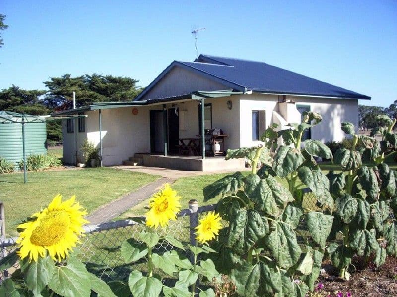 Lot 300 Cannawigara Road, BORDERTOWN SA 5268, Bordertown - Image 1