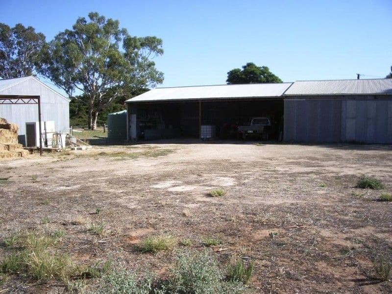 Lot 300 Cannawigara Road, BORDERTOWN SA 5268, Bordertown - Thumbnail 4