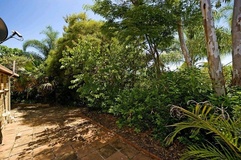 3 Fonda Place, OXENFORD QLD 4210, Oxenford - Thumbnail 4