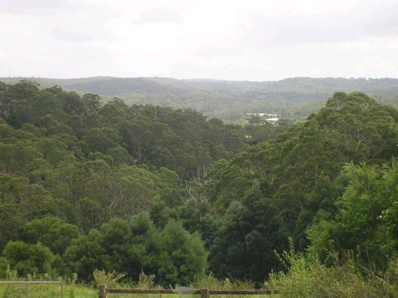 7040 Taylor Road, LISAROW NSW 2250, Lisarow - Thumbnail 3