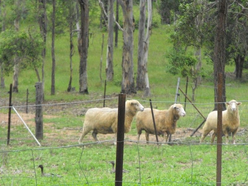 NANANGO QLD 4615, Nanango - Thumbnail 6
