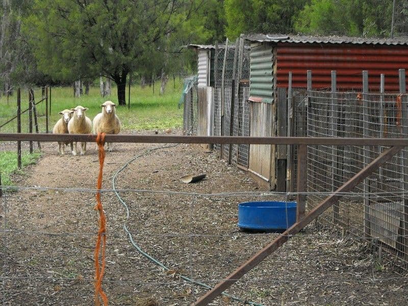 NANANGO QLD 4615, Nanango - Thumbnail 7