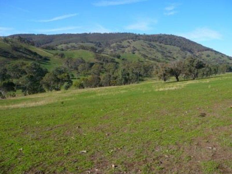 1550 Highlands Road, SEYMOUR VIC 3660, Seymour - Thumbnail 3