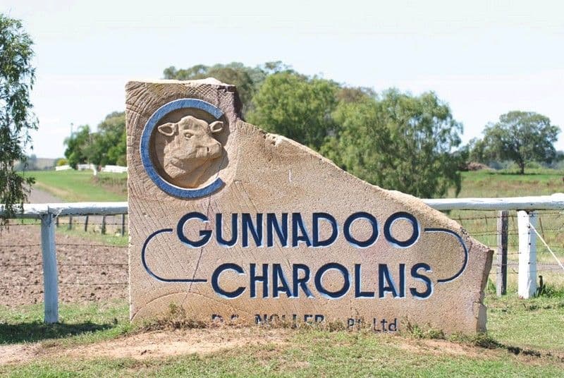 0 Pechey Maclagan Road, OAKEY QLD 4401, Oakey - Thumbnail 2