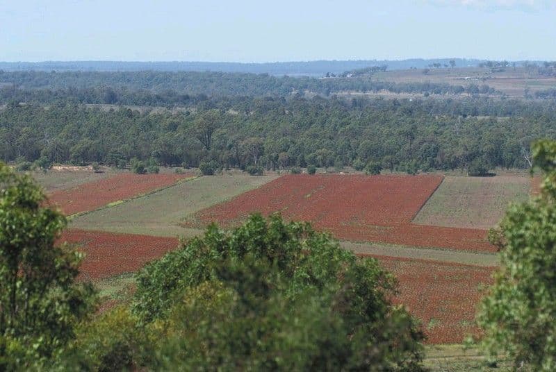 0 Pechey Maclagan Road, OAKEY QLD 4401, Oakey - Thumbnail 4