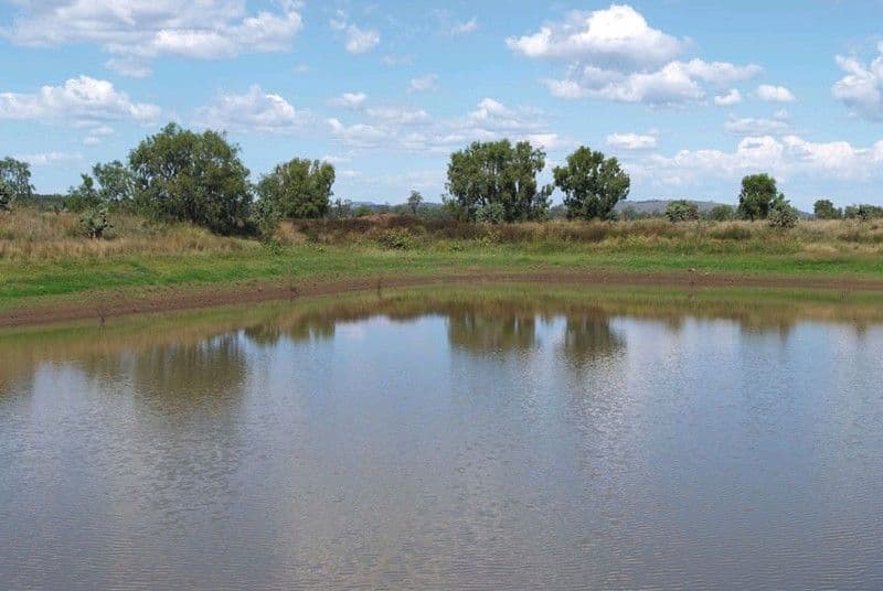 0 Pechey Maclagan Road, OAKEY QLD 4401, Oakey - Thumbnail 5