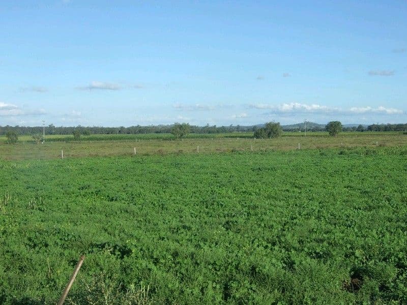 000 Pechey Maclagan Road, GOOMBUNGEE QLD 4354, Goombungee - Thumbnail 2