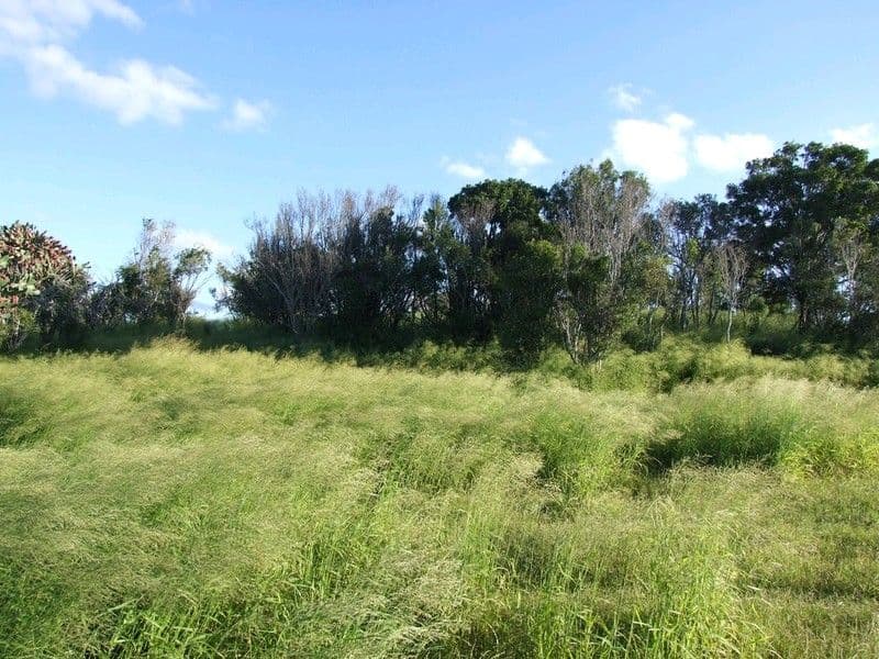 000 Pechey Maclagan Road, GOOMBUNGEE QLD 4354, Goombungee - Thumbnail 3