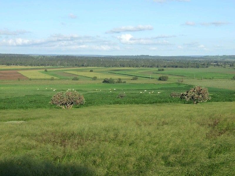 000 Pechey Maclagan Road, GOOMBUNGEE QLD 4354, Goombungee - Thumbnail 5