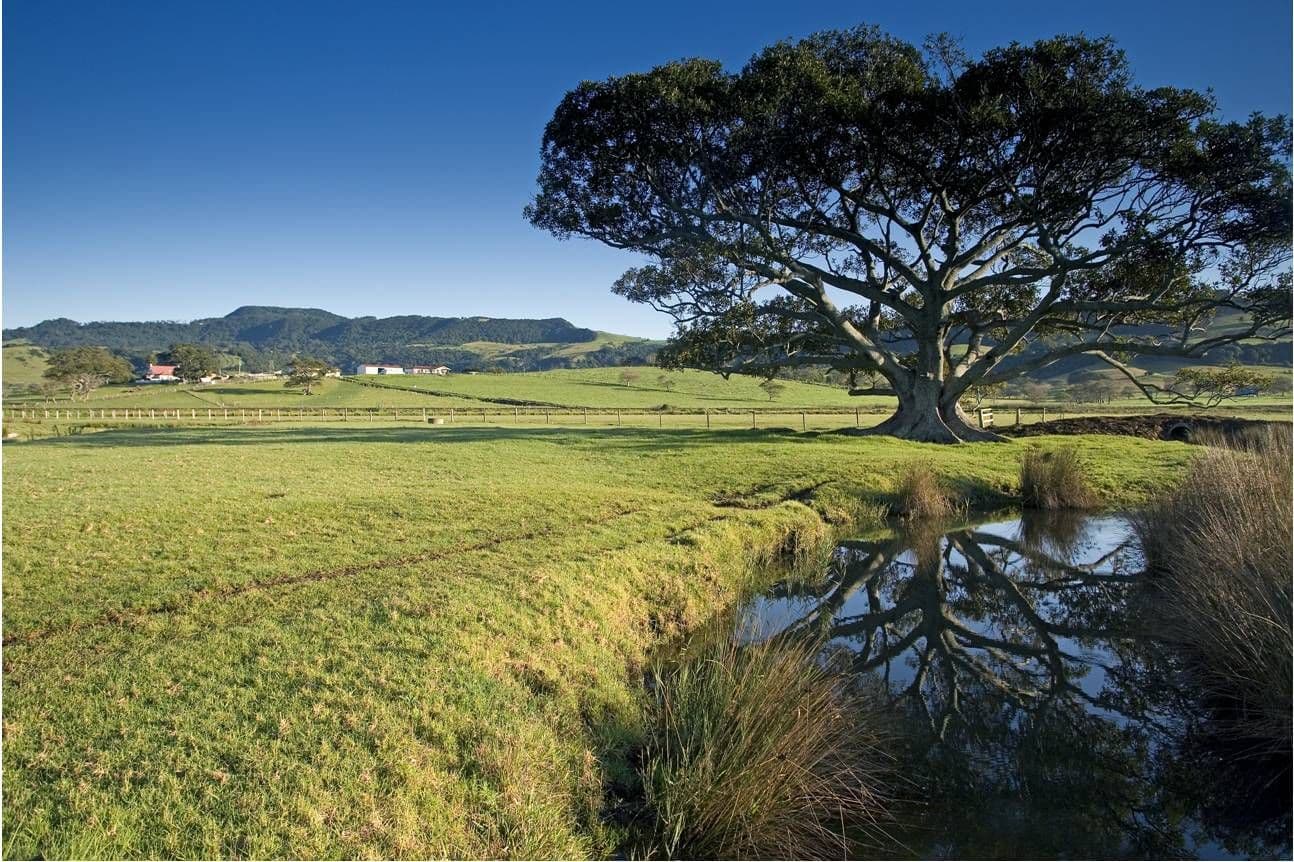 GERRINGONG NSW 2534, Gerringong - Thumbnail 5