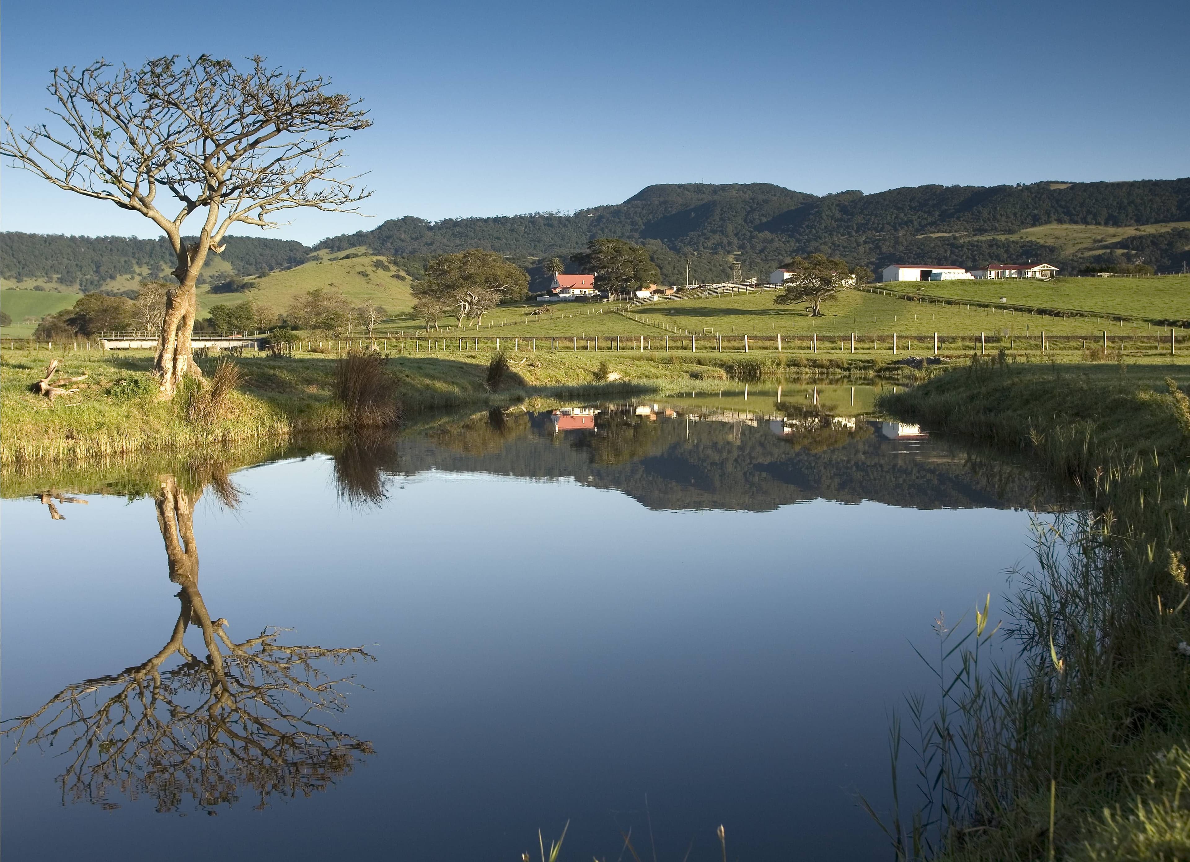 GERRINGONG NSW 2534, Gerringong - Thumbnail 6