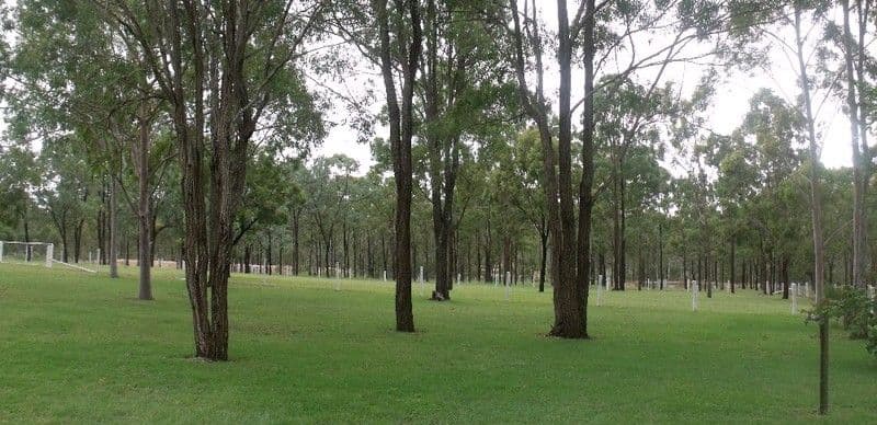 NANANGO QLD 4615, Nanango - Thumbnail 6