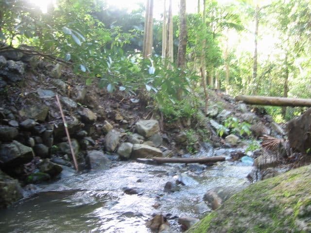 122 Orchid Road, CANNONVALE QLD 4802, Cannonvale - Thumbnail 5