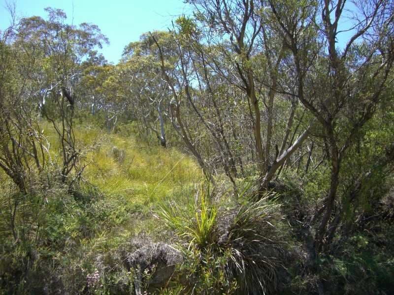 92 Rawson Parade, LEURA NSW 2780, Leura - Thumbnail 3