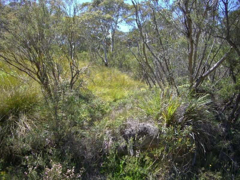 92 Rawson Parade, LEURA NSW 2780, Leura - Thumbnail 4