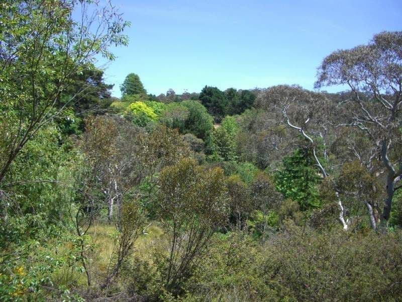 92 Rawson Parade, LEURA NSW 2780, Leura - Image 1