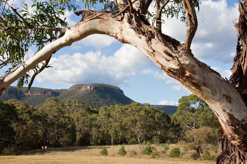 Lot 7 31 River Lett Close, HARTLEY NSW 2790, Hartley - Image 1