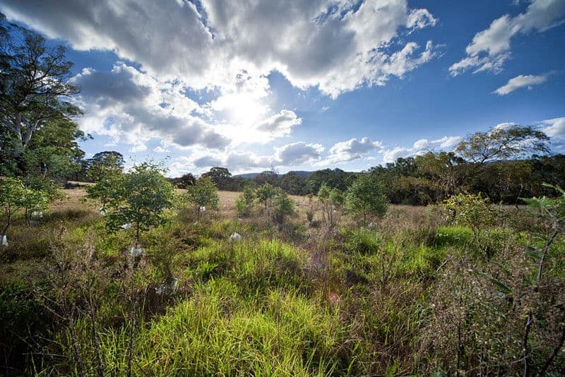 Lot 7 31 River Lett Close, HARTLEY NSW 2790, Hartley - Thumbnail 5