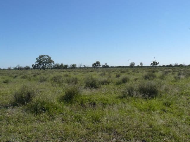 MUNGINDI NSW 2406, Mungindi - Image 1