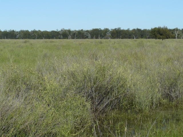 MUNGINDI NSW 2406, Mungindi - Thumbnail 2