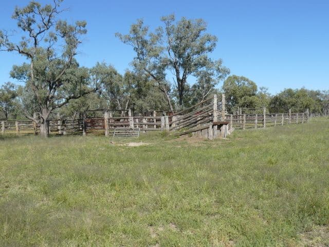 MUNGINDI NSW 2406, Mungindi - Thumbnail 4