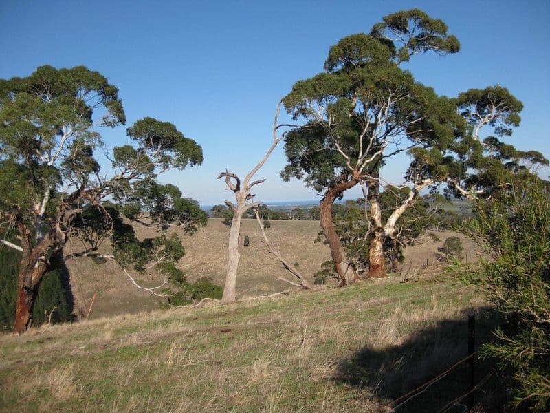 Lot 2 Cut Hill Road, KANGARILLA SA 5157, Kangarilla - Thumbnail 2