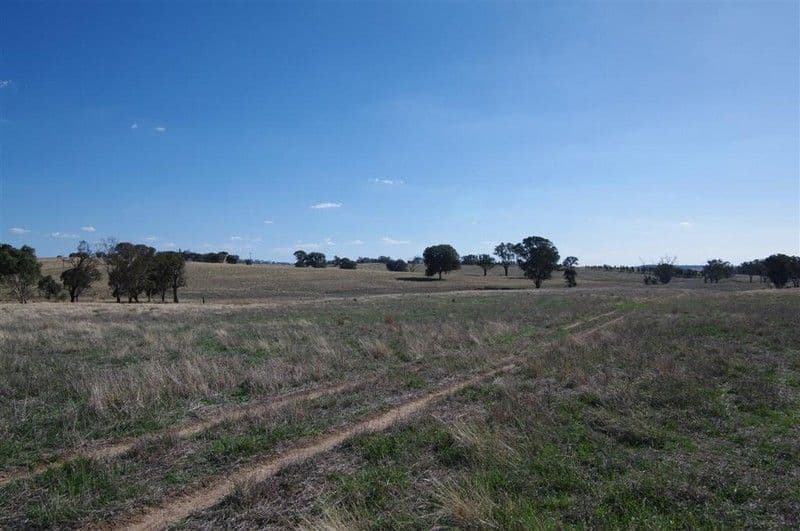 546 Clifton Ring Road, HOLBROOK NSW 2644, Holbrook - Thumbnail 2